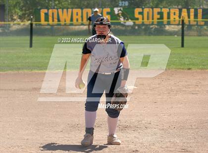 Thumbnail 1 in Livermore vs Freedom (Livermore Stampede) photogallery.