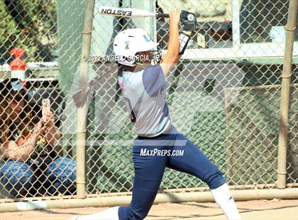 Thumbnail 1 in Livermore vs Freedom (Livermore Stampede) photogallery.