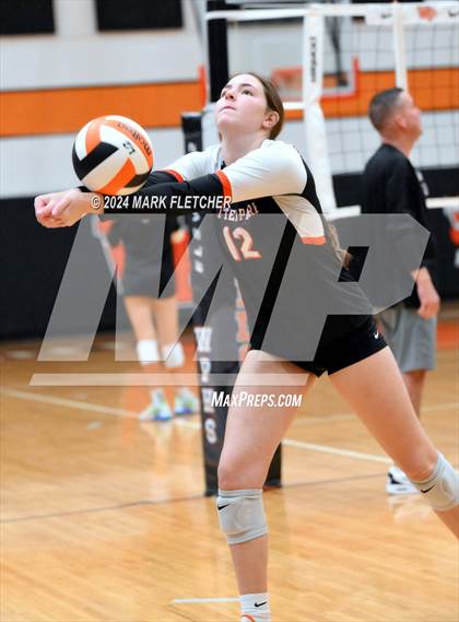 Thumbnail 1 in Winter Park vs Hagerty (FHSAA 7A Region 1 Regional Semifinal) photogallery.