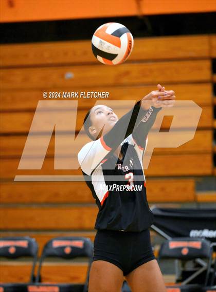 Thumbnail 1 in Winter Park vs Hagerty (FHSAA 7A Region 1 Regional Semifinal) photogallery.