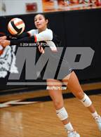 Photo from the gallery "Winter Park vs Hagerty (FHSAA 7A Region 1 Regional Semifinal)"