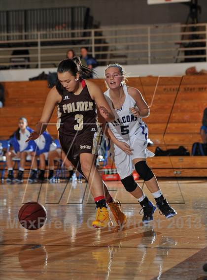 Thumbnail 3 in Palmer @ Highlands Ranch photogallery.