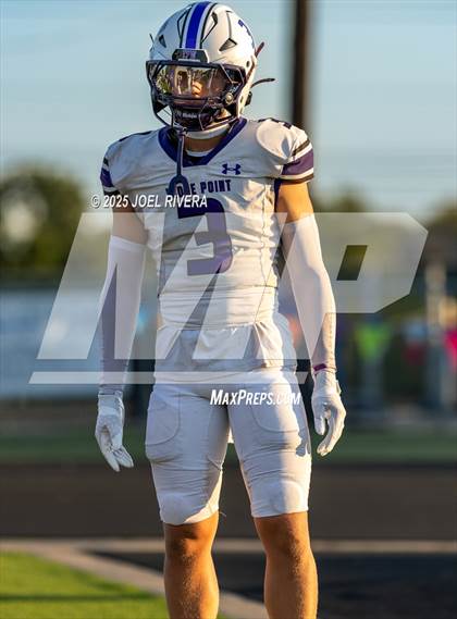 Thumbnail 2 in Ridge Point @ Fulshear photogallery.