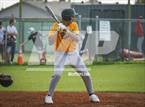 Photo from the gallery "Marcos de Niza @ Mountain View"