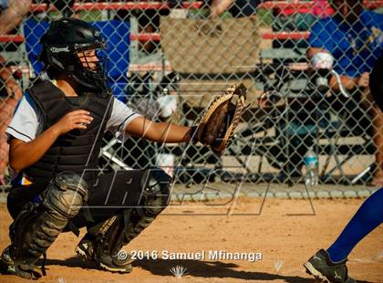 Thumbnail 1 in Wayne vs. Wahoo  (Lincoln Public Schools Softball Classic) photogallery.