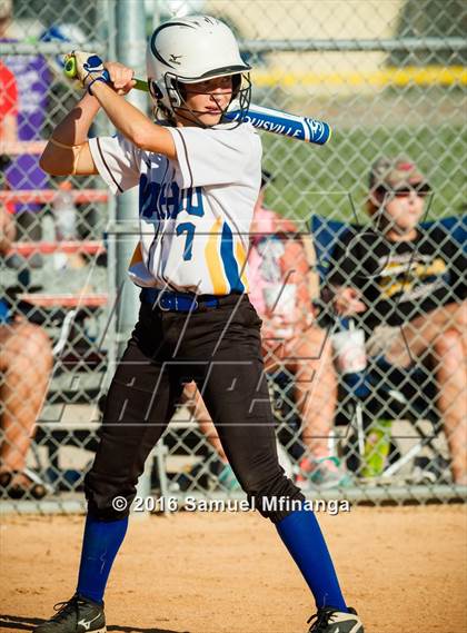 Thumbnail 2 in Wayne vs. Wahoo  (Lincoln Public Schools Softball Classic) photogallery.