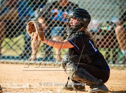 Thumbnail 3 in Wayne vs. Wahoo  (Lincoln Public Schools Softball Classic) photogallery.