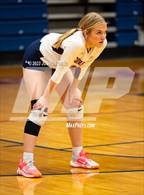 Photo from the gallery "The Classical Academy @ Sand Creek"