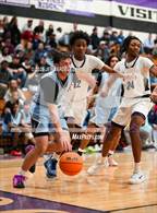 Photo from the gallery "Widefield @ Mesa Ridge"