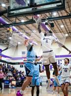 Photo from the gallery "Widefield @ Mesa Ridge"
