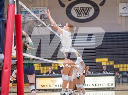 Thumbnail 3 in Del Norte @ Westview photogallery.