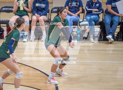 Thumbnail 2 in Del Norte @ Westview photogallery.