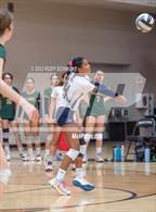 Photo from the gallery "Del Norte @ Westview"