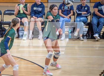 Thumbnail 3 in Del Norte @ Westview photogallery.