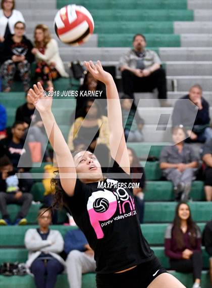 Thumbnail 3 in Legacy vs Palo Verde photogallery.