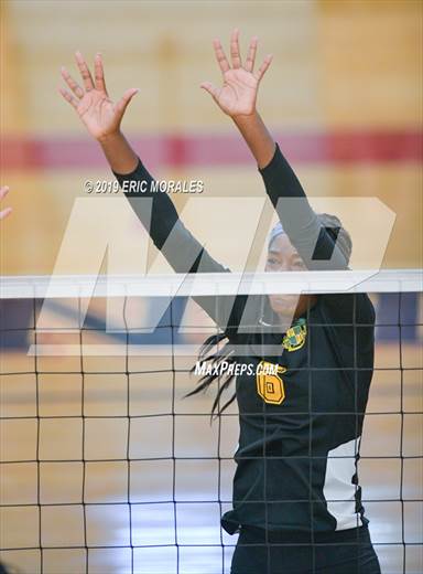 null - Photo 41