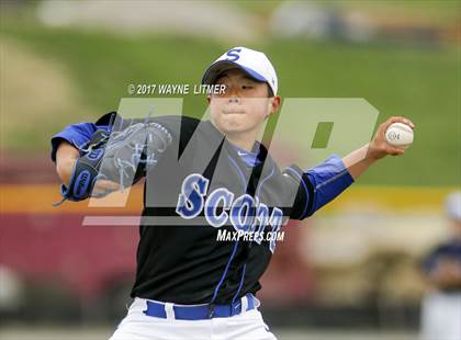 Thumbnail 2 in Scott @ Campbell County photogallery.