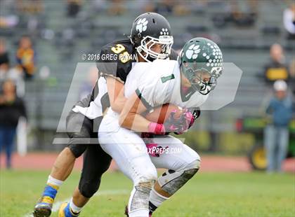Thumbnail 2 in Lindenhurst @ Northport photogallery.