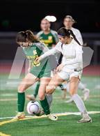 Photo from the gallery "Windsor @ San Marin"