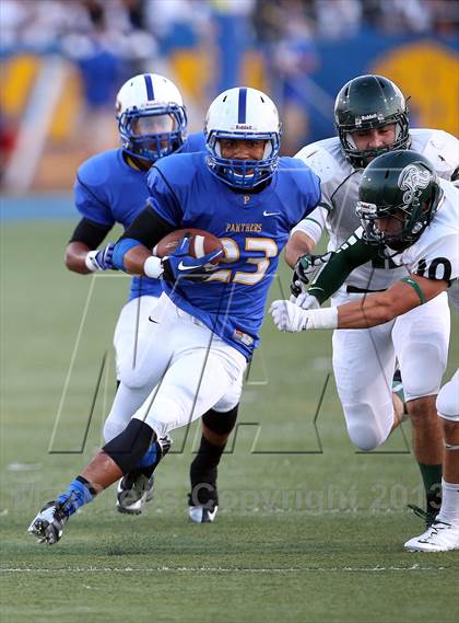 Thumbnail 1 in Reagan @ Pflugerville photogallery.
