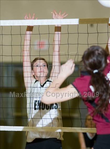 Thumbnail 1 in Modesto @ Enochs photogallery.