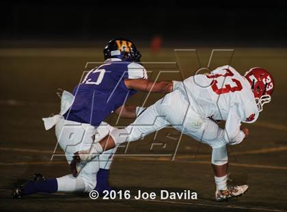 Thumbnail 1 in Santa Maria @ Righetti photogallery.