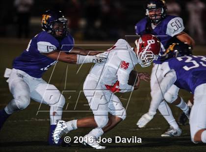 Thumbnail 2 in Santa Maria @ Righetti photogallery.