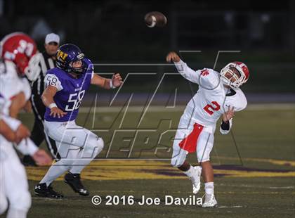 Thumbnail 3 in Santa Maria @ Righetti photogallery.