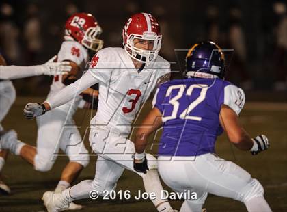 Thumbnail 2 in Santa Maria @ Righetti photogallery.