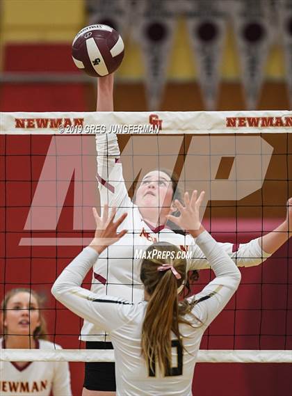 Thumbnail 3 in Windsor @ Cardinal Newman photogallery.