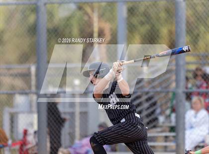 Thumbnail 3 in Mariner vs. Lemon Bay photogallery.