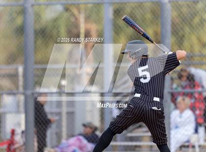Thumbnail 2 in Mariner vs. Lemon Bay photogallery.
