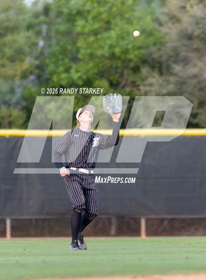 Thumbnail 3 in Mariner vs. Lemon Bay photogallery.