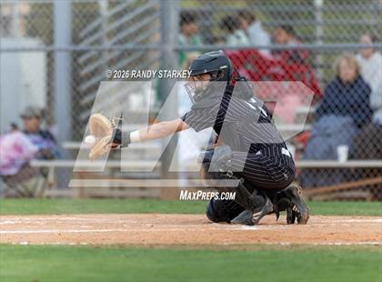 Thumbnail 1 in Mariner vs. Lemon Bay photogallery.