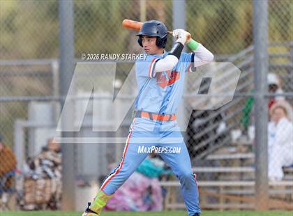 Thumbnail 1 in Mariner vs. Lemon Bay photogallery.