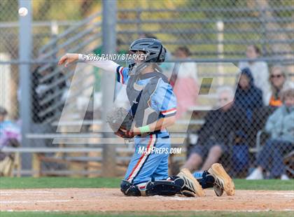 Thumbnail 2 in Mariner vs. Lemon Bay photogallery.