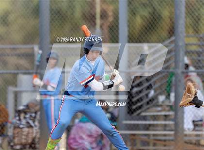 Thumbnail 2 in Mariner vs. Lemon Bay photogallery.