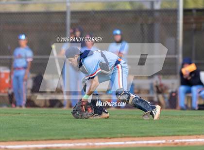 Thumbnail 2 in Mariner vs. Lemon Bay photogallery.
