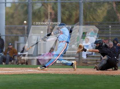 Thumbnail 1 in Mariner vs. Lemon Bay photogallery.