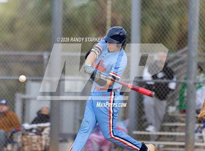 Thumbnail 1 in Mariner vs. Lemon Bay photogallery.