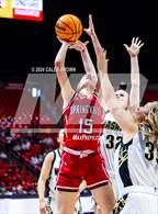 Photo from the gallery "Springville vs. Wasatch (UHSAA 5A Semifinal)"
