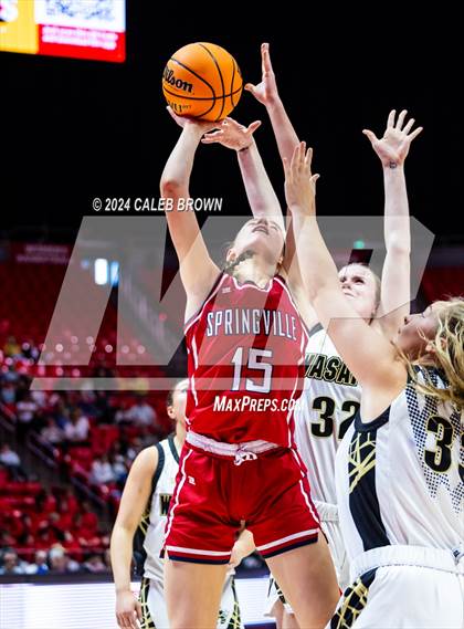 Thumbnail 1 in Springville vs. Wasatch (UHSAA 5A Semifinal) photogallery.