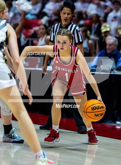 Thumbnail 3 in Springville vs. Wasatch (UHSAA 5A Semifinal) photogallery.