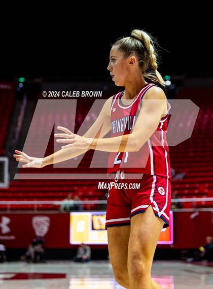 Thumbnail 1 in Springville vs. Wasatch (UHSAA 5A Semifinal) photogallery.