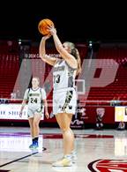 Photo from the gallery "Springville vs. Wasatch (UHSAA 5A Semifinal)"