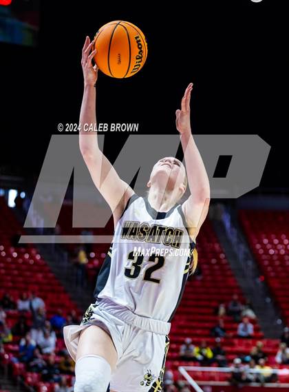 Thumbnail 2 in Springville vs. Wasatch (UHSAA 5A Semifinal) photogallery.