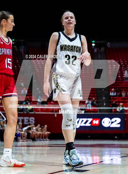Thumbnail 3 in Springville vs. Wasatch (UHSAA 5A Semifinal) photogallery.
