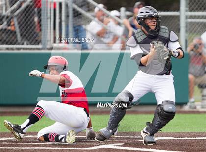 Thumbnail 2 in Lake Travis vs Churchill (UIL 6A Regional Quarterfinal, Game 2) photogallery.