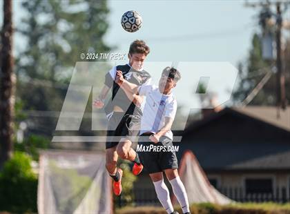 Thumbnail 1 in Esperanza @ El Modena photogallery.