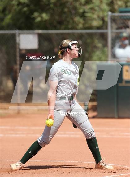 Thumbnail 1 in Sahuaro @ Canyon del Oro photogallery.